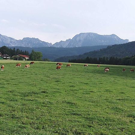 Strasser-Hof Teisendorf Exteriér fotografie